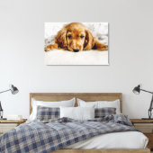 Toile Animaux de bébés cutest | Cocker Spaniel (Insitu(Chambre))