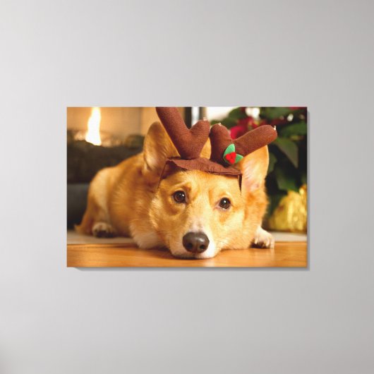 Toile Animaux de bébés cutest | Corgi Christmas Reindeer (Recto)