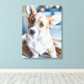 Toile Animaux de bébés cutest | Corgi Head Tilt (Insitu (Plancher de Bois))