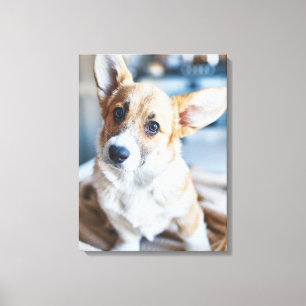 Toile Animaux de bébés cutest   Corgi Head Tilt
