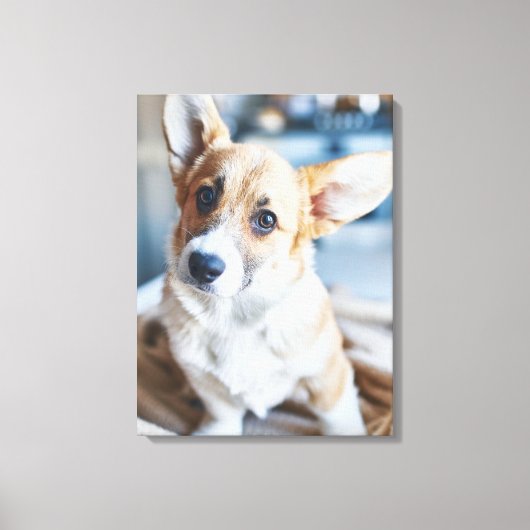 Toile Animaux de bébés cutest | Corgi Head Tilt (Recto)