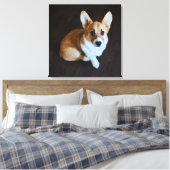 Toile Animaux de bébés cutest | Corgi levant les yeux (Insitu(Chambre))