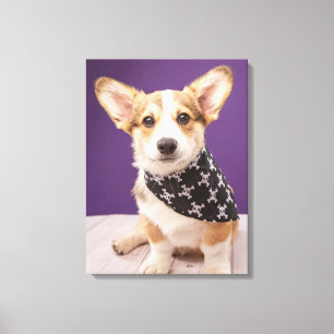Toile Animaux de bébés cutest Corgi Puppy Skull Bandan