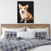 Toile Animaux de bébés cutest | Corgi Puppy Smile (Insitu(Chambre))