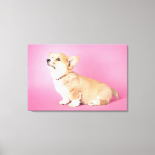 Toile Animaux de bébés cutest Corgi rose Chiot
