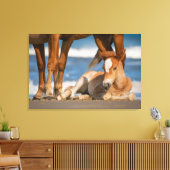 Toile Animaux de bébés cutest | Corolla nouvellement née (Insitu(Salon))