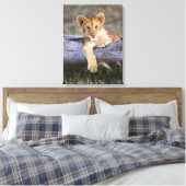 Toile Animaux de bébés cutest | Cute Lion Cub (Insitu(Chambre))