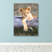 Toile Animaux de bébés cutest | Cute Lion Cub (Insitu (Plancher de Bois))