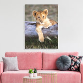 Toile Animaux de bébés cutest | Cute Lion Cub (Insitu(Salon))