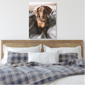 Toile Animaux de bébés cutest | Dachshund Dachshund Dach (Insitu(Chambre))