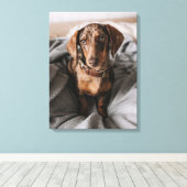 Toile Animaux de bébés cutest | Dachshund Dachshund Dach (Insitu (Plancher de Bois))