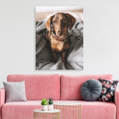 Toile Animaux de bébés cutest | Dachshund Dachshund Dach (Insitu(Salon))