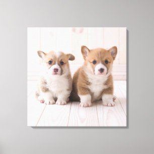 Toile Animaux de bébés cutest   Deux Bébés Corgis assis