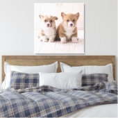 Toile Animaux de bébés cutest | Deux Bébés Corgis assis (Insitu(Chambre))