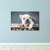 Toile Animaux de bébés cutest | French Bulldog (Insitu (Plancher de Bois))