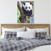 Toile Animaux de bébés cutest | Géant Panda Cub (Insitu(Chambre))
