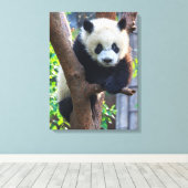 Toile Animaux de bébés cutest | Géant Panda Cub (Insitu (Plancher de Bois))
