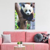 Toile Animaux de bébés cutest | Géant Panda Cub (Insitu(Salon))
