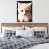 Toile Animaux de bébés cutest | Ginger Kitten (Insitu(Chambre))