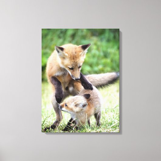 Toile Animaux de bébés cutest | Kit et maman Fox adorabl (Recto)