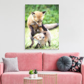 Toile Animaux de bébés cutest | Kit et maman Fox adorabl (Insitu(Salon))