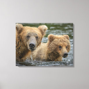 Toile Animaux de bébés cutest   Mama Bear & Her Cubs