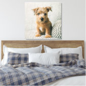 Toile Animaux de bébés cutest | Norfolk Terrier Puppy (Insitu(Chambre))