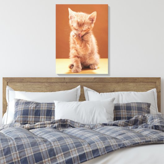 Toile Animaux de bébés cutest | Orange Tabby Kitten (Insitu(Chambre))