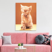 Toile Animaux de bébés cutest | Orange Tabby Kitten (Insitu(Salon))