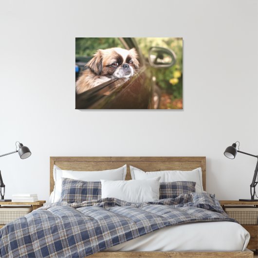 Toile Animaux de bébés cutest | Pekingese Chiot en voitu (Insitu(Chambre))