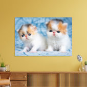 Toile Animaux de bébés cutest | Persian Calico Kitten (Insitu(Salon))