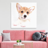 Toile Animaux de bébés cutest | Sweet Baby Corgi (Insitu(Salon))