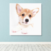 Toile Animaux de bébés cutest | Sweet Baby Corgi (Insitu (Plancher de Bois))