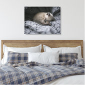 Toile Animaux de bébés cutest | Tiny Kitten Dormir (Insitu(Chambre))