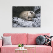 Toile Animaux de bébés cutest | Tiny Kitten Dormir (Insitu(Salon))