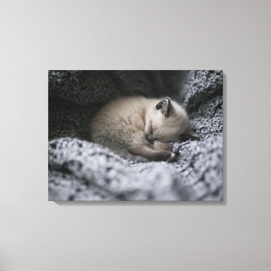 Toile Animaux de bébés cutest | Tiny Kitten Dormir (Recto)