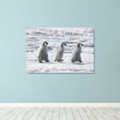 Toile Animaux de bébés cutest | Trois Épouses Penguin Em (Insitu (Plancher de Bois))