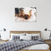 Toile Animaux de bébés cutest | Yorkshire Terrier (Insitu(Chambre))