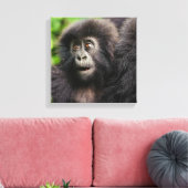 Toile Animaux de bébés cutest | Young Mountain Gorilla (Insitu(Salon))