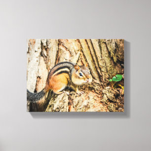 Toile Animaux de la faune mignonne écureuil Nature