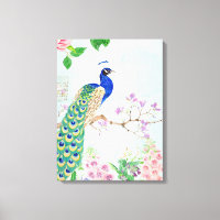Animaux de paon | Oiseau floral | Cool Peacock
