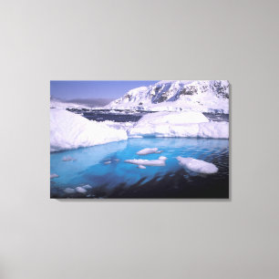 Toile Antarctique. Expédition à travers les paysages de