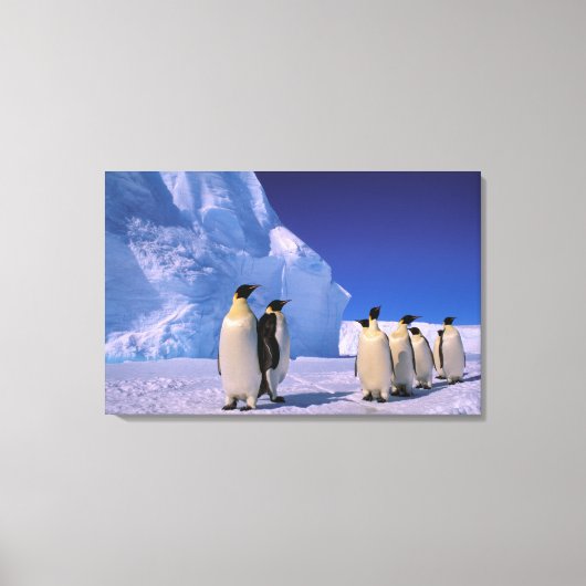 Toile Antarctique, territoire australien antarctique, 7 (Recto)