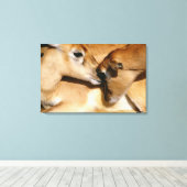 Toile Antelope africaine et faon (Insitu (Plancher de Bois))