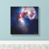 Toile Antenne : Un Spectacle Galactique (Insitu (Plancher de Bois))