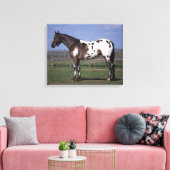 Toile Appaloosa Cheval debout (Insitu(Salon))