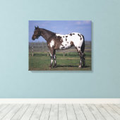 Toile Appaloosa Cheval debout (Insitu (Plancher de Bois))