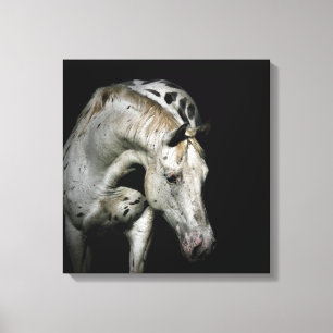 Toile Appaloosa Horse photo