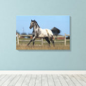 Toile Appaloosa Horse Running 3 (Insitu (Plancher de Bois))