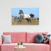 Toile Appaloosa Horse Running 3 (Insitu(Salon))